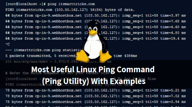 Ping команда не найдена linux